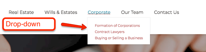 website navigation dropdown
